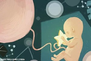 关于供卵代怀包男孩